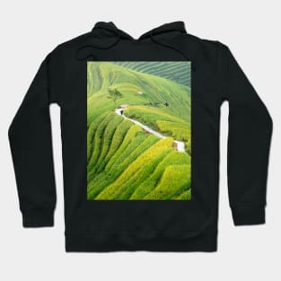 LongJi Path Hoodie